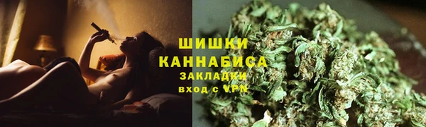 крисы Корсаков