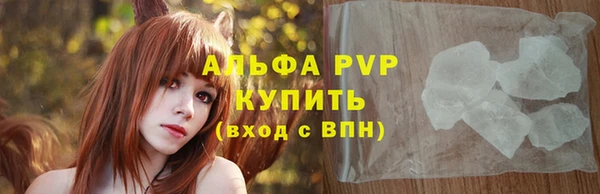 стаф Коряжма