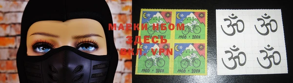 стаф Коряжма