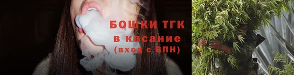 крисы Корсаков