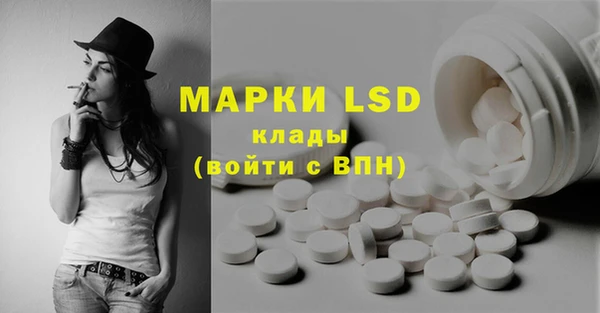 крисы Корсаков