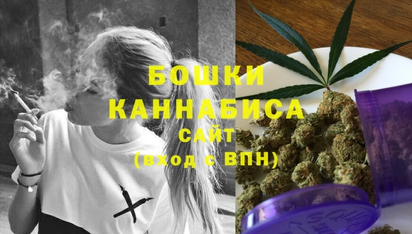 стаф Коряжма