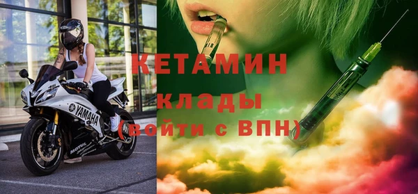крисы Корсаков
