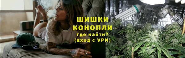 крисы Корсаков